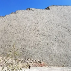 Foto de Parque Cretácico